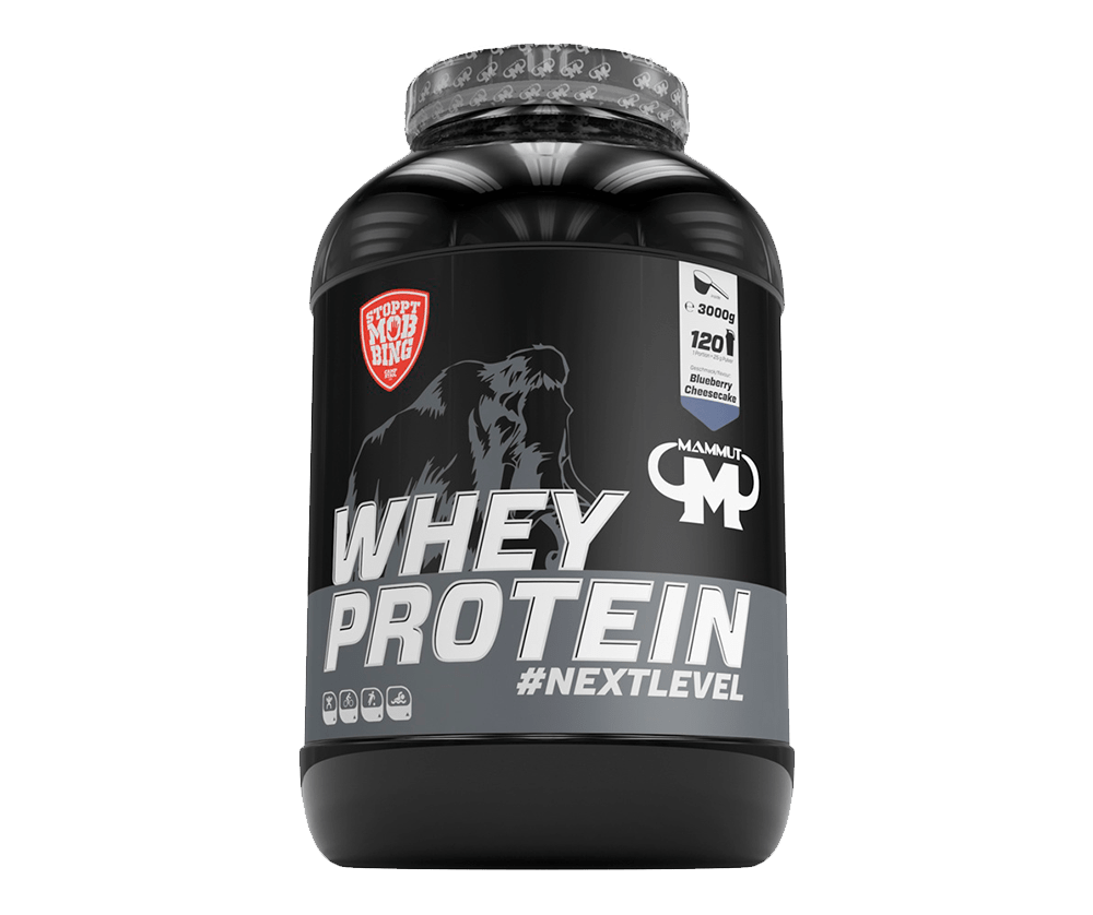 Whey Protein 3000г 39990 тенге