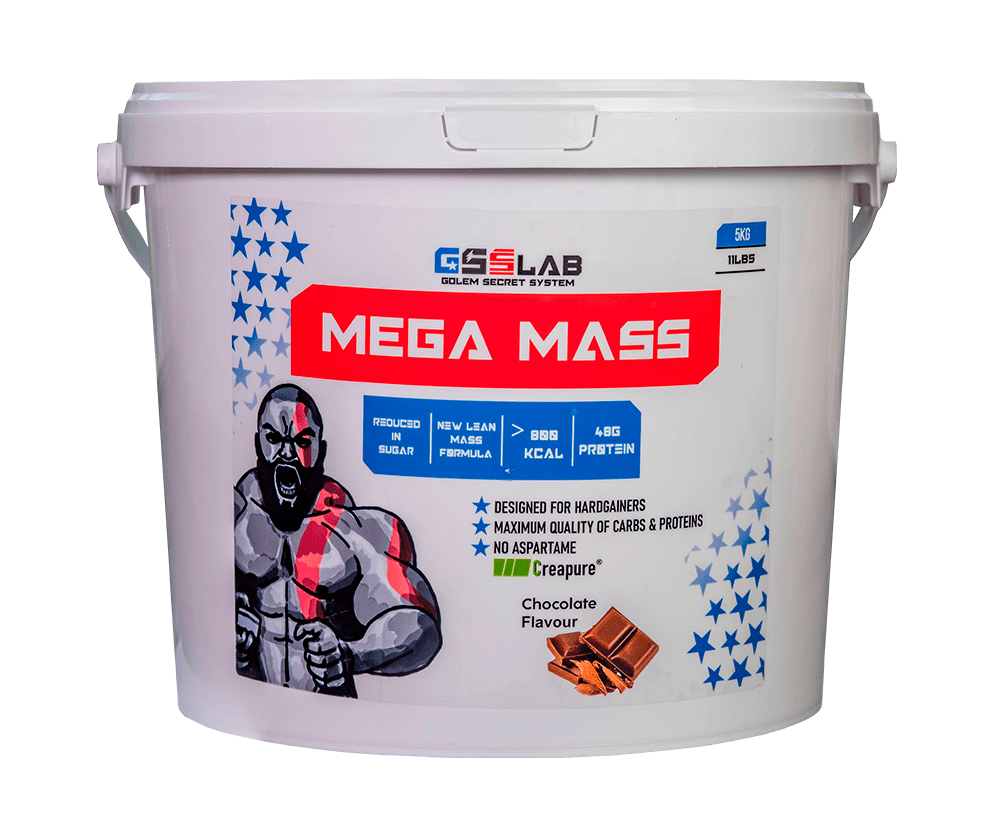 Mega Mass 5000 гр 29990 тенге